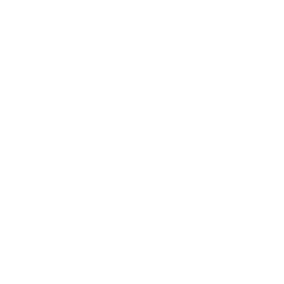 finance icon