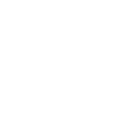 options icon